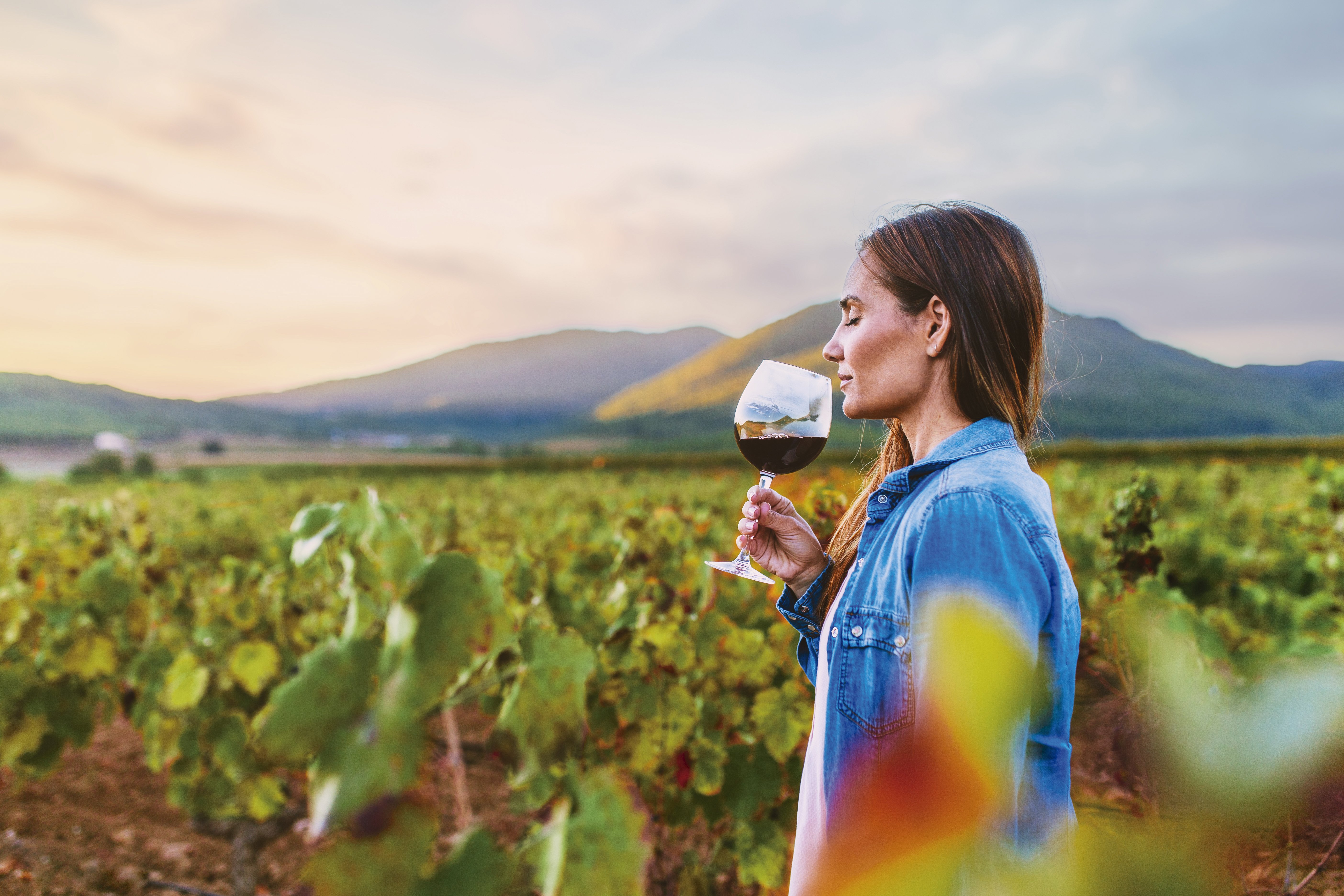 3 Vinos de la Región de Murcia ITREM