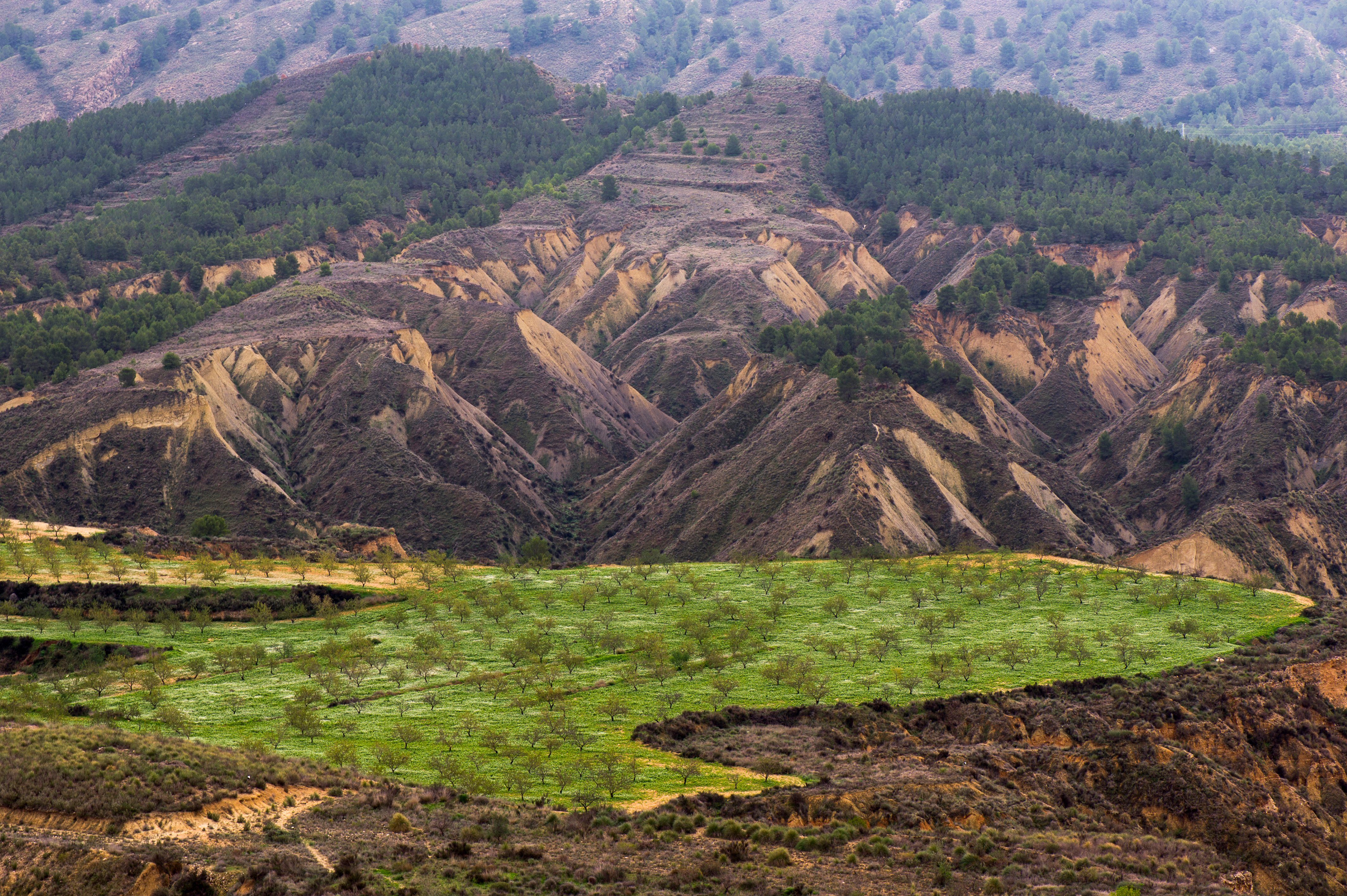 Barrancos de Gebas Sierra Espuña NYA Ascensión Guillermo