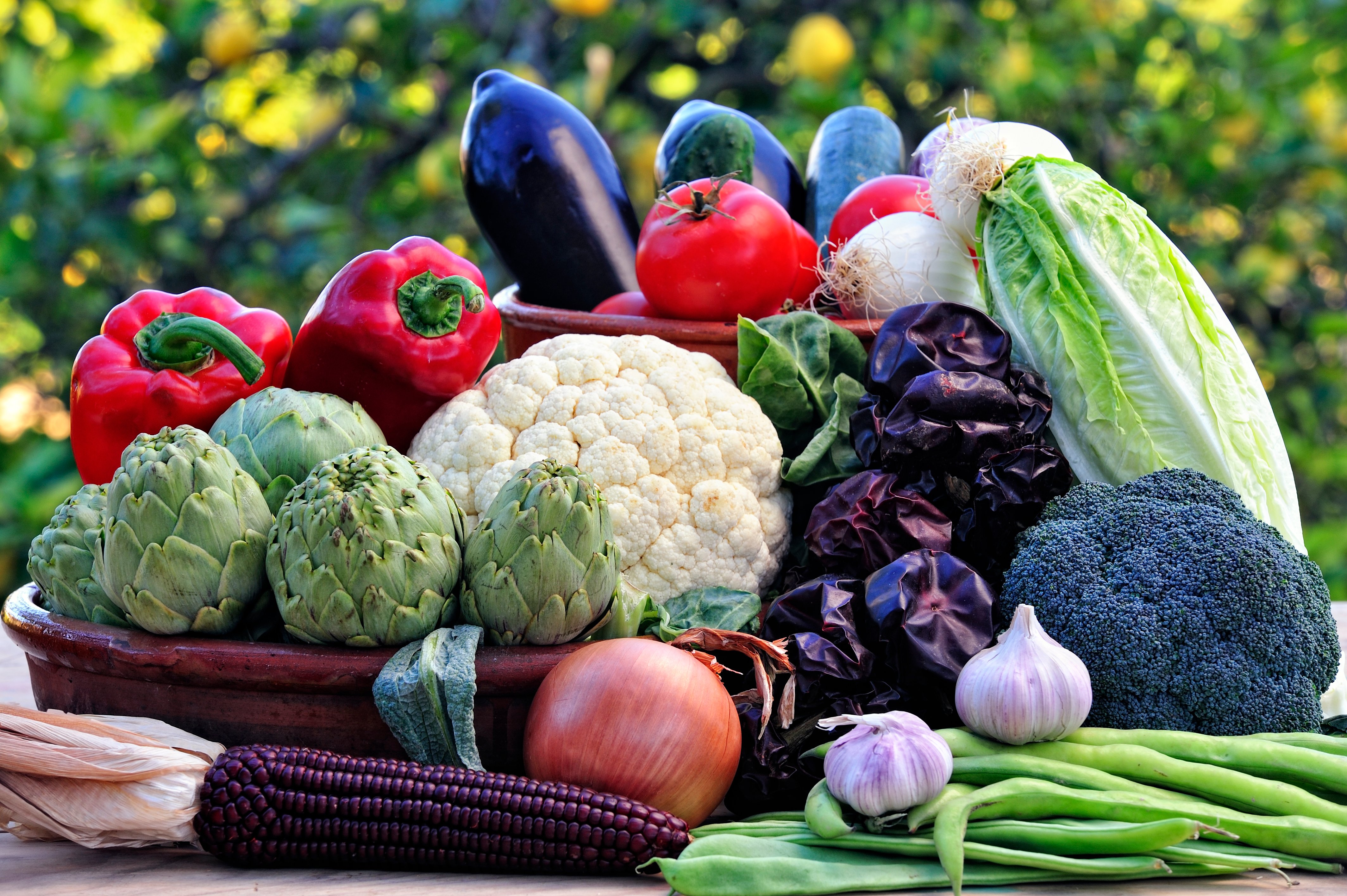 Bodegón de verduras Región de Murcia GYE  Joaquín Zamora