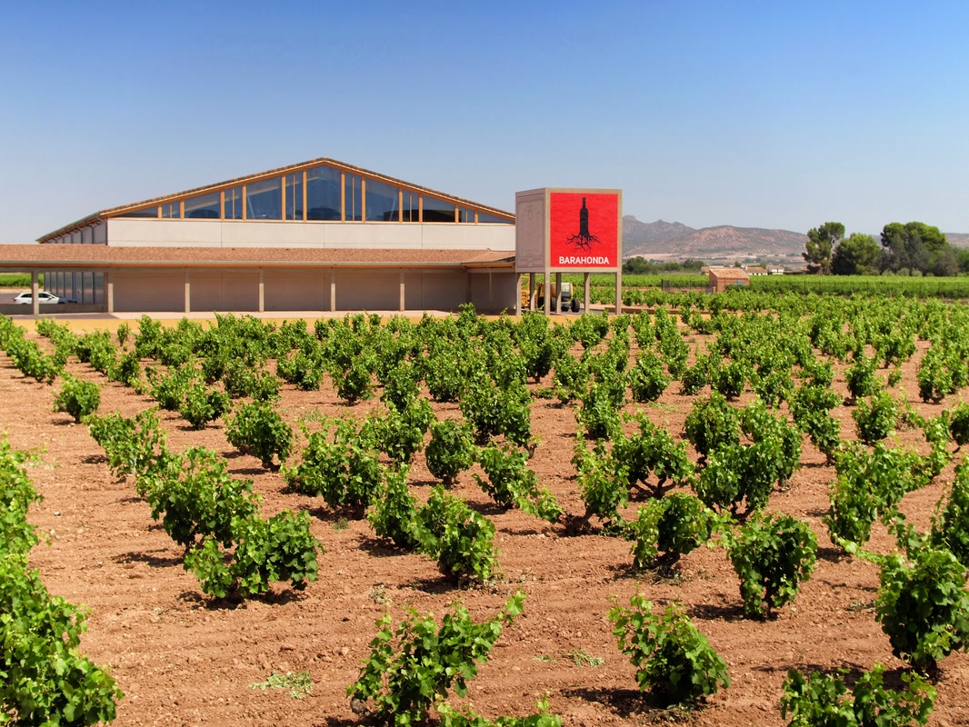 Bodega Barahonda3 Yecla GYE Joaquín Zamora
