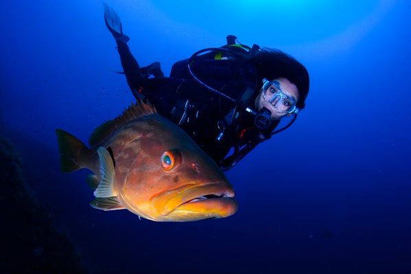 Buceo en Cabo de Palos. Javier Ferrer chica mero