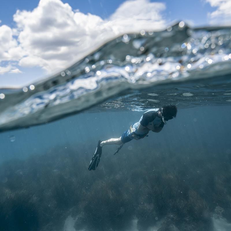 Snorkel en la Región de Murcia