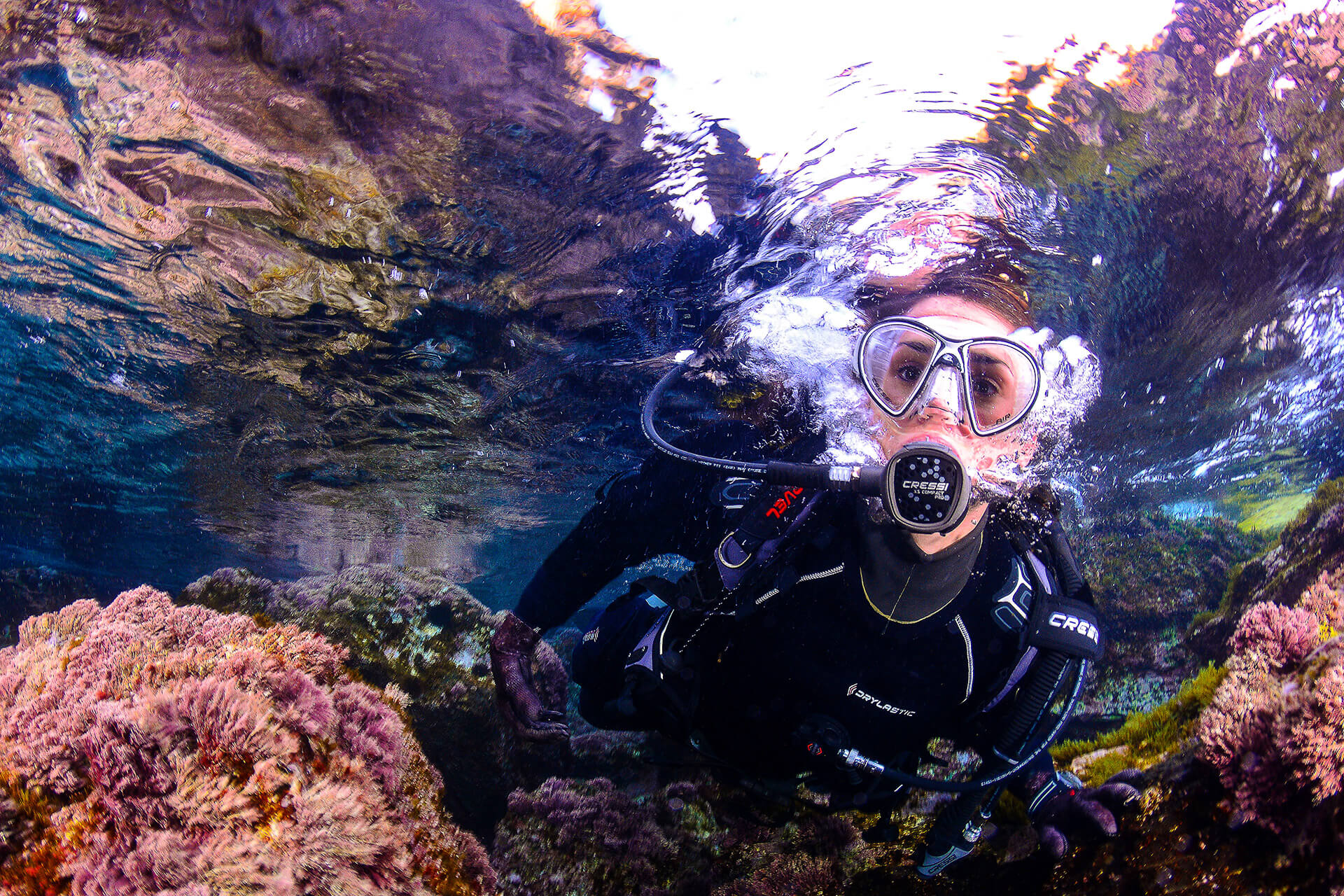 4 Cuevas submarinas impresionantes para amantes del buceo en la Región de Murcia