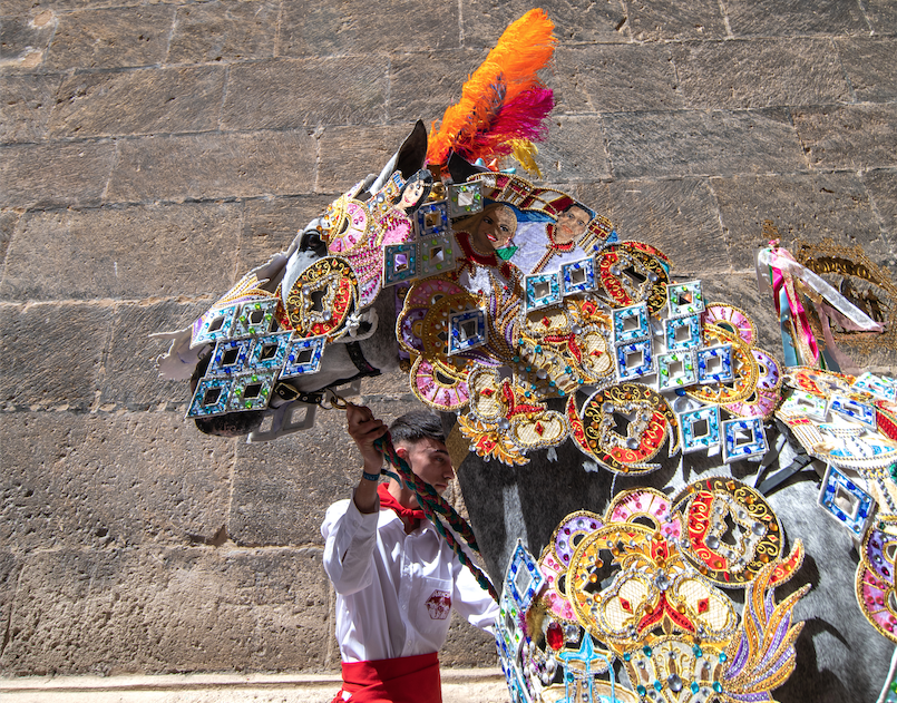 caballo enjaezado