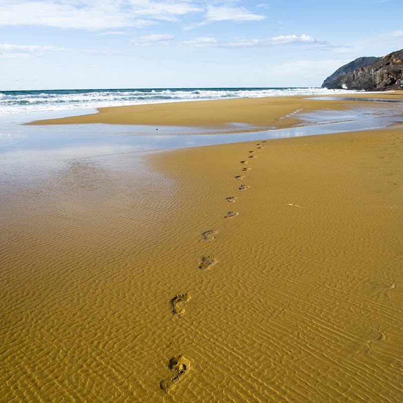 Calblanque