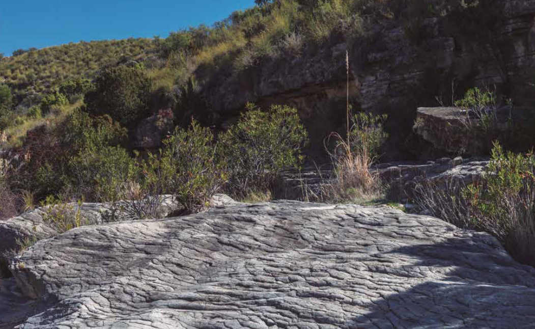 estrecho de bolvonegro