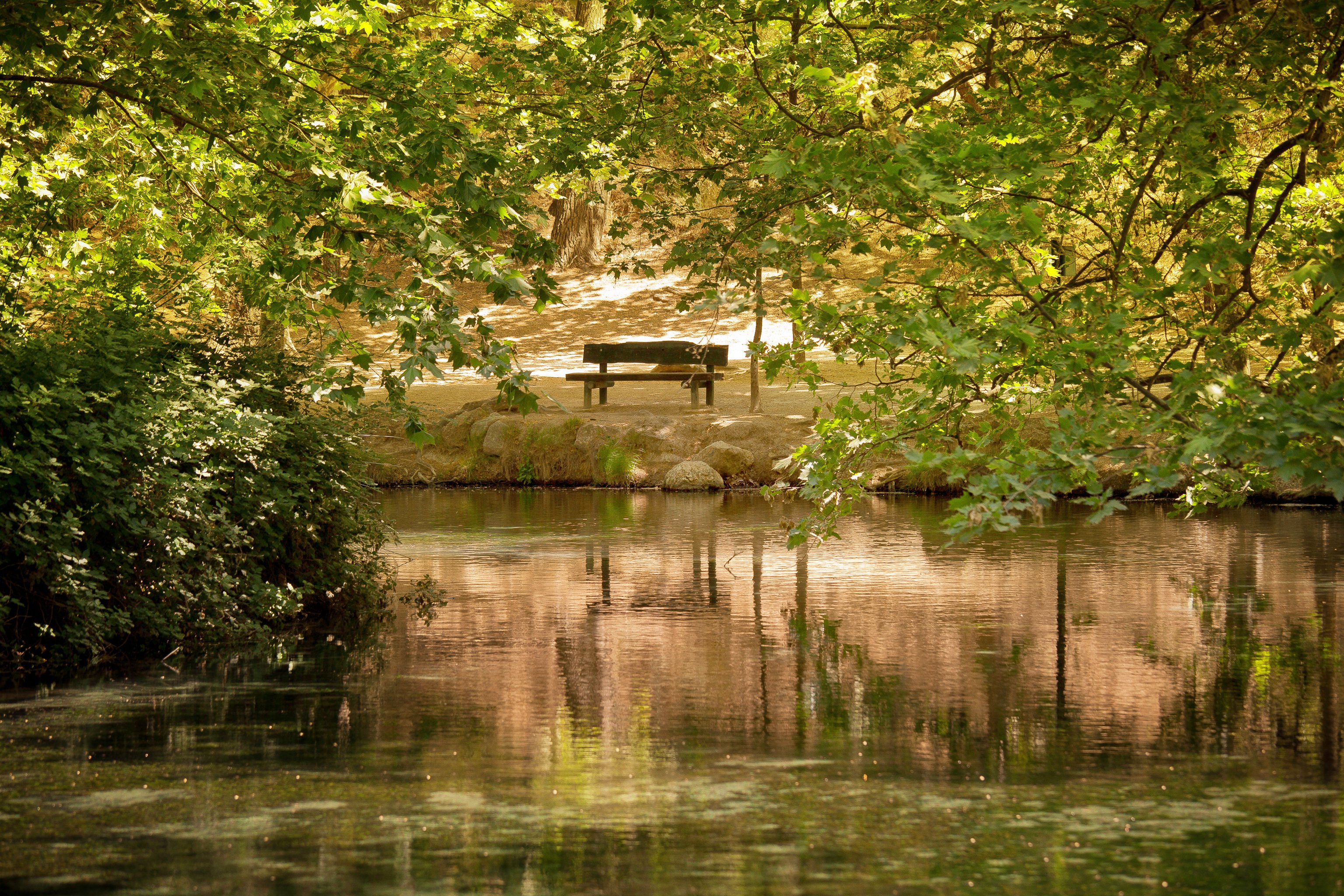 fuentes del marqués