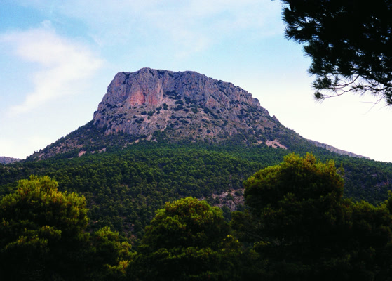 Featured Image